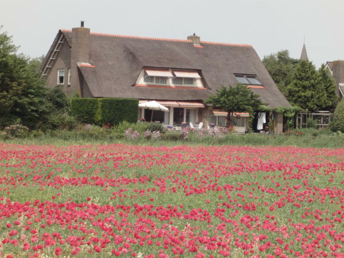 Riethove Panzió Harlingen Kültér fotó